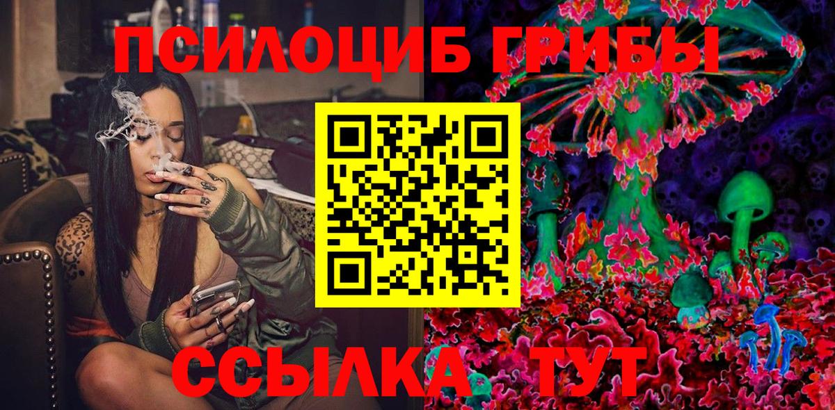 Заречный  Псилоцибиновые грибы Psilocybe  Вход с VPN  Псилоцибиновые грибы мухоморы 